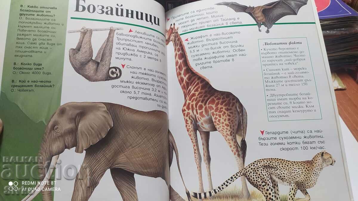 Enciclopedia animalelor pentru copii, Joyce Newson, prima ediție - 6 Enciclopedia animalelor pentru copii, Joyce Newson, prima ediție - 6