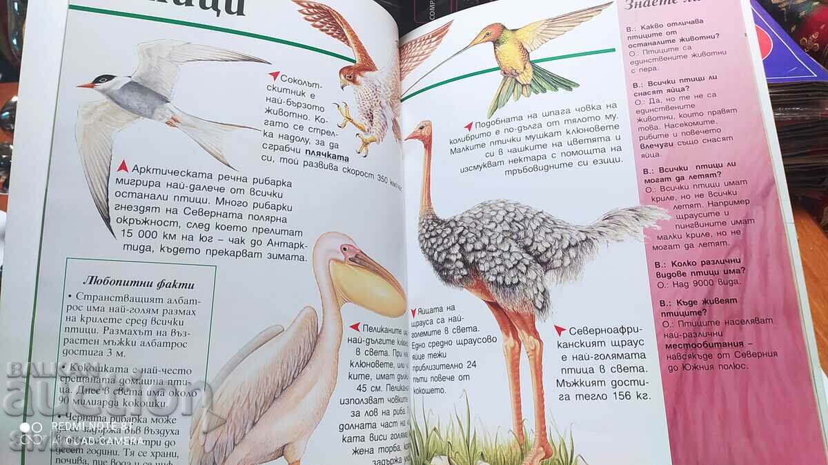 Enciclopedia animalelor pentru copii, Joyce Newson, prima ediție - 7 Enciclopedia animalelor pentru copii, Joyce Newson, prima ediție - 7