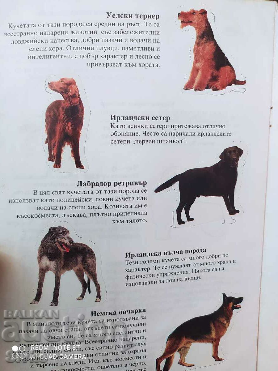 Puppies album with price 2.99 BGN | € 1.53 Puppies album with price 2.99 BGN | € 1.53