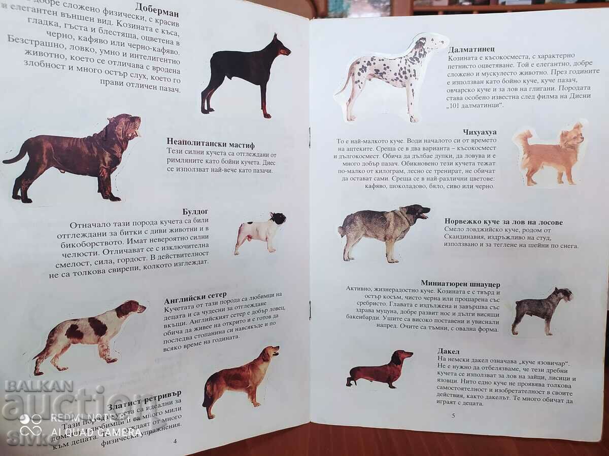 Delivery of Puppies album Delivery of Puppies album