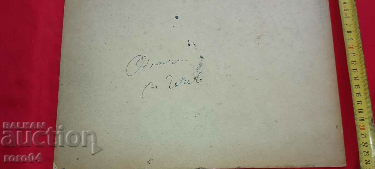 MITKO CHOCHEV născut în 1954 - NORI - 6