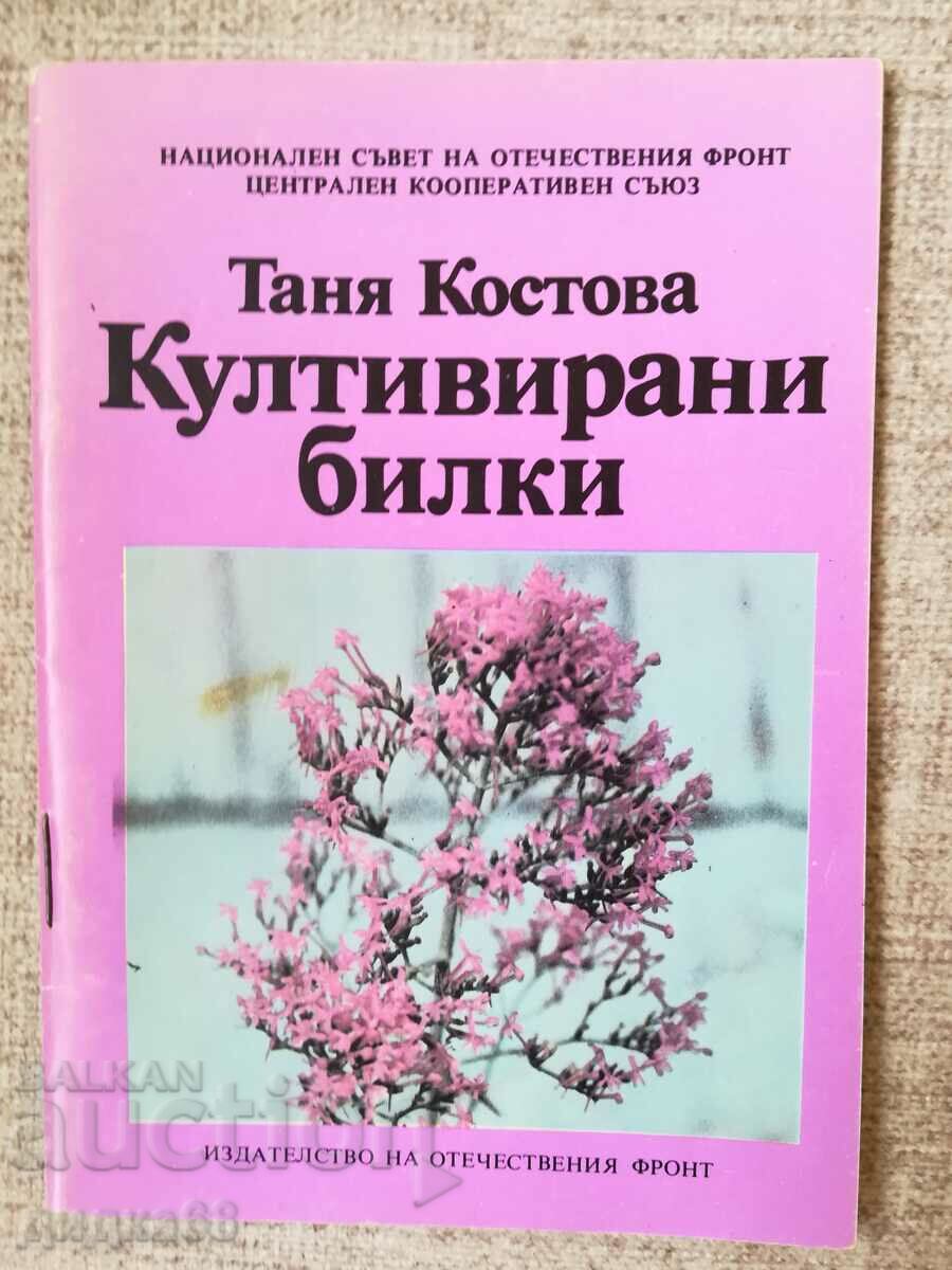 Култивирани билки / Таня Костова