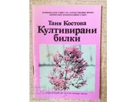 Cultivated herbs / Tanya Kostova