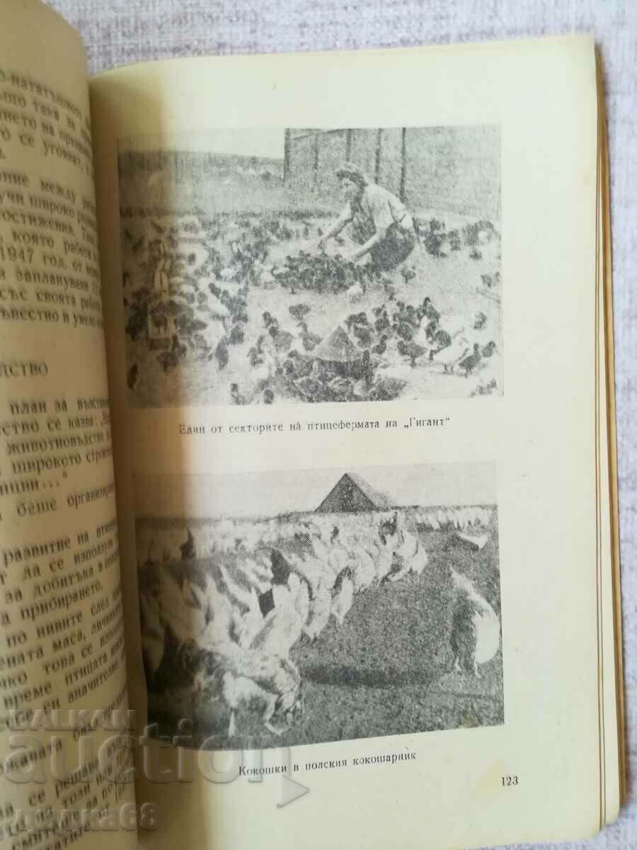 The first grain state farm / F.A. Boyko with price 20.00 BGN | € 10.23 The first grain state farm / F.A. Boyko with price 20.00 BGN | € 10.23