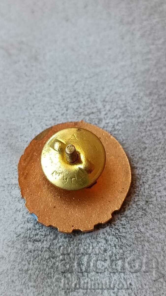 Badge Third Class with price 2.85 BGN | € 1.46 Badge Third Class with price 2.85 BGN | € 1.46