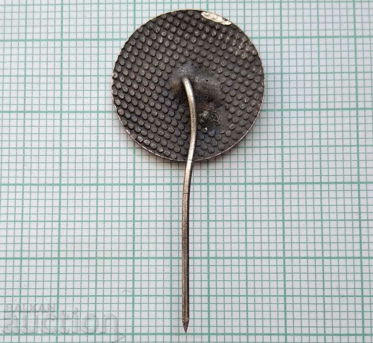 Delivery of 15370 Badge - Maritsa east - enamel Delivery of 15370 Badge - Maritsa east - enamel