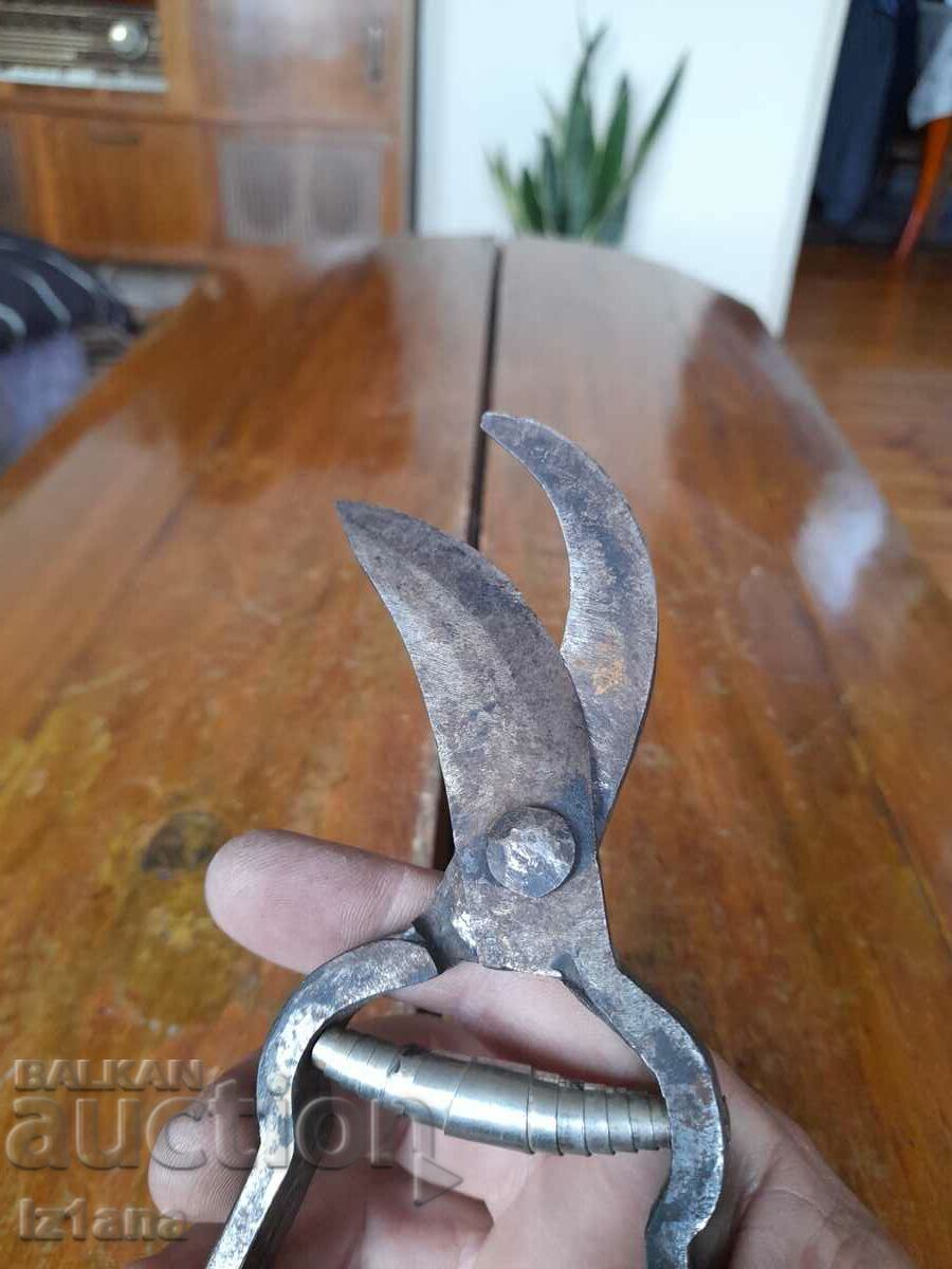 Auction Stara Lozarska, ovoshtarska Nozhitsa, Nozhitsi Auction Stara Lozarska, ovoshtarska Nozhitsa, Nozhitsi