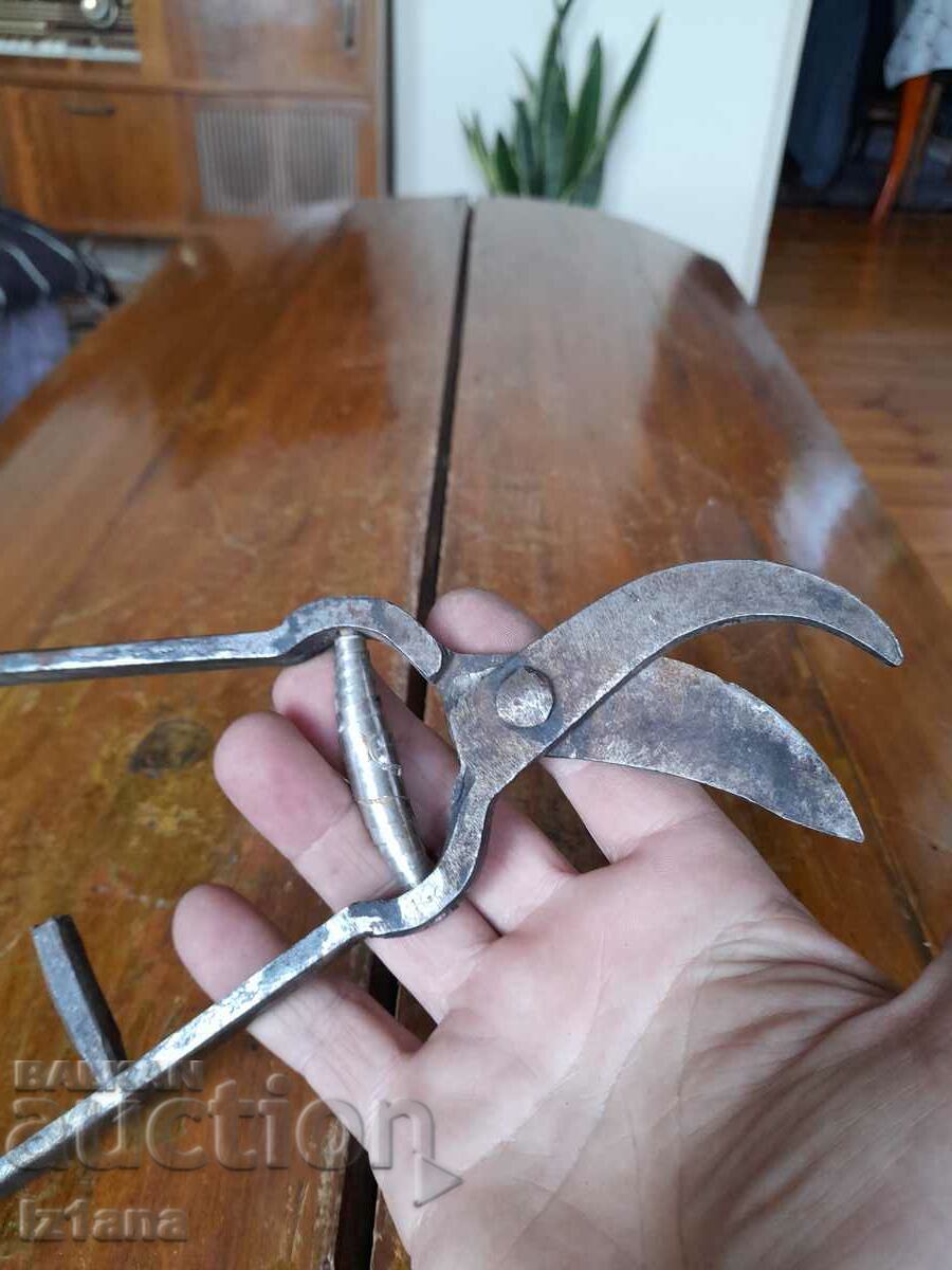 Delivery of Stara Lozarska, ovoshtarska Nozhitsa, Nozhitsi Delivery of Stara Lozarska, ovoshtarska Nozhitsa, Nozhitsi