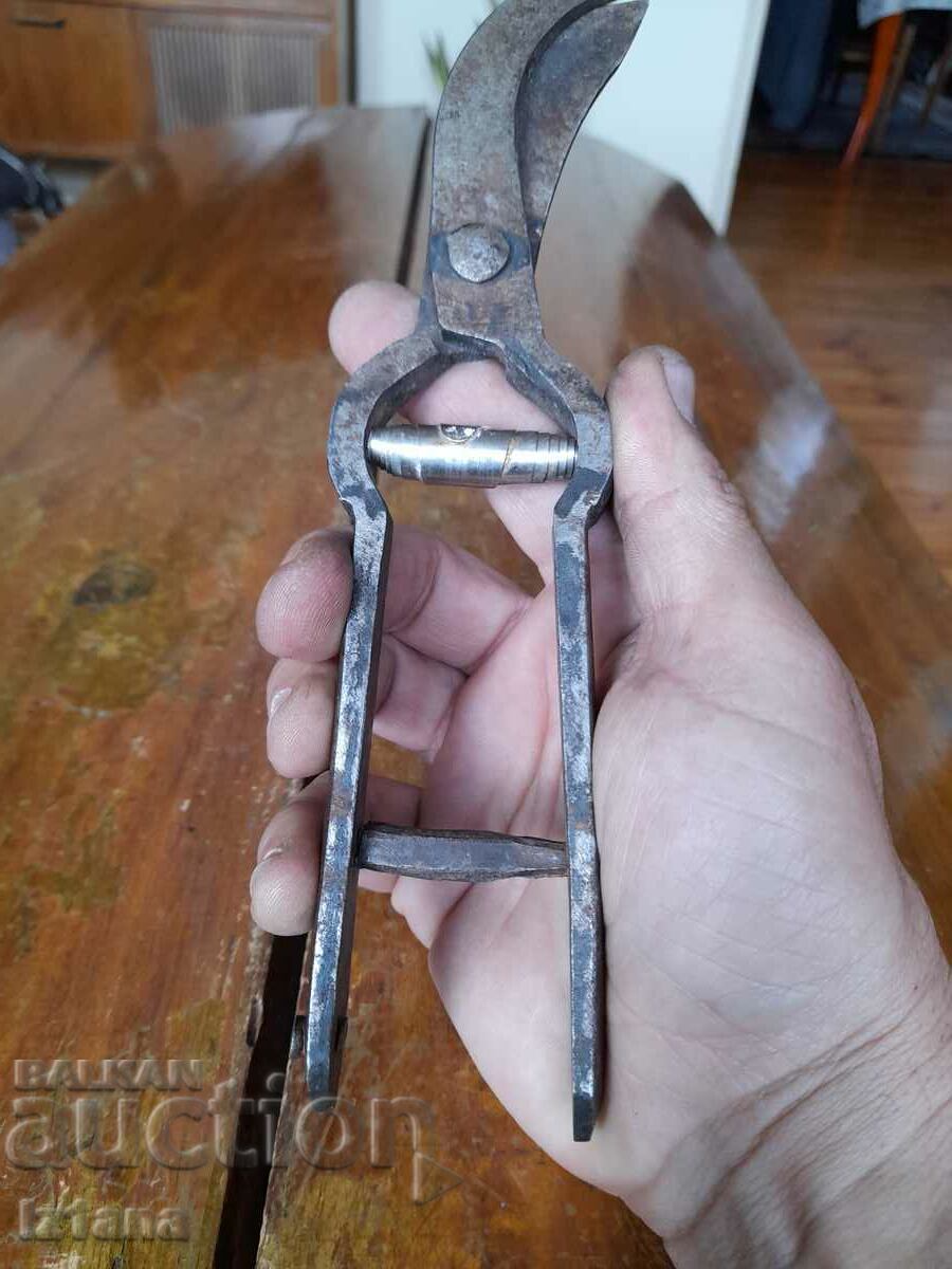 Stara Lozarska, ovoshtarska Nozhitsa, Nozhitsi - 5 Stara Lozarska, ovoshtarska Nozhitsa, Nozhitsi - 5