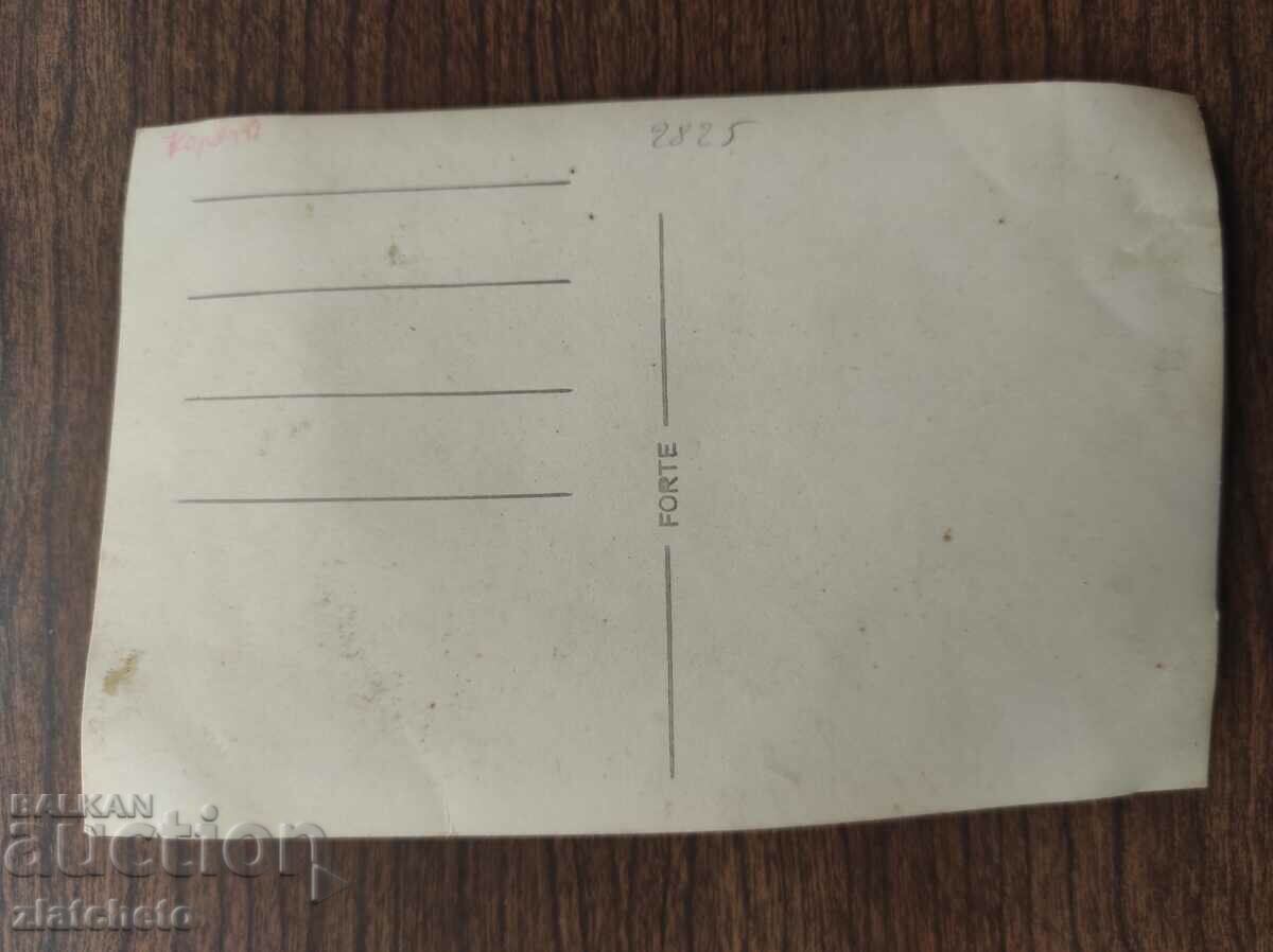 Παλιά φωτογραφία Βασίλειο της Βουλγαρίας - Δημοκρατία της Τσεχίας; με τιμή 6.00 BGN | € 3.07