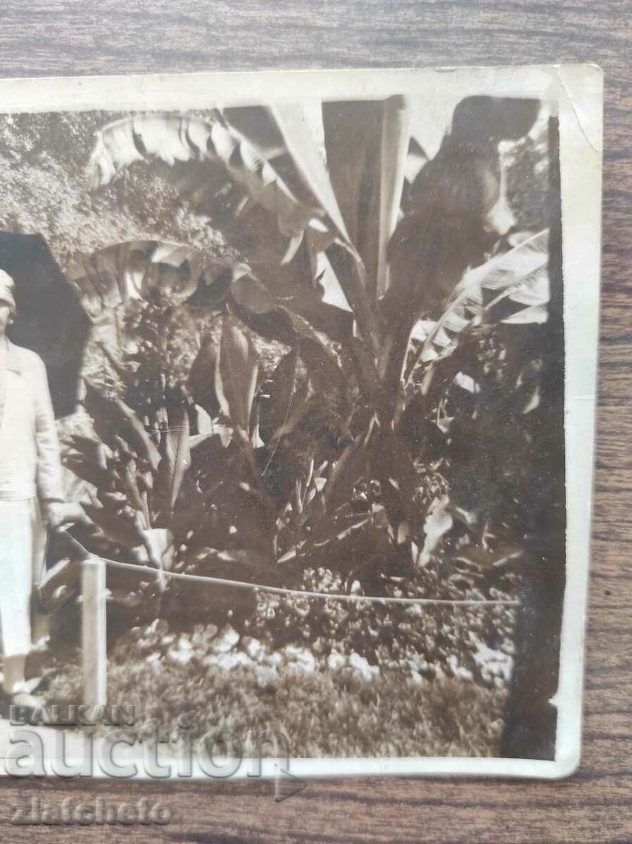 Аукцион Стара снимка Царство България - Морската градина във Варна Аукцион Стара снимка Царство България - Морската градина във Варна