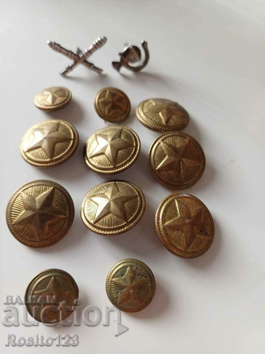Копчета руски