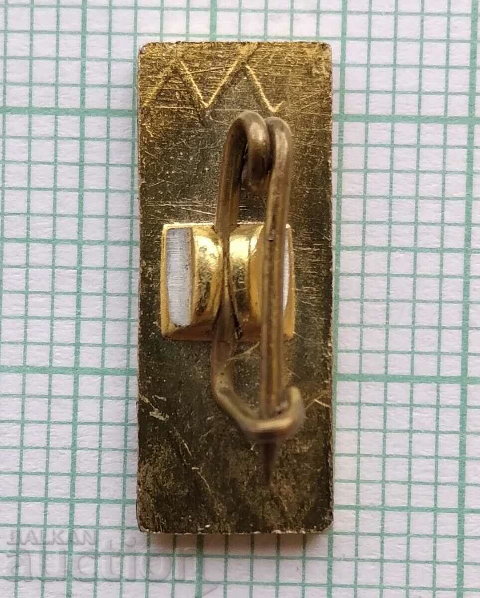 Auction 15409 Badge - TNTM Auction 15409 Badge - TNTM