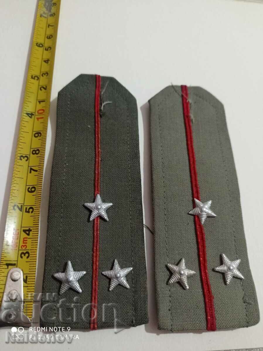 Παγώνη από τη σόκα