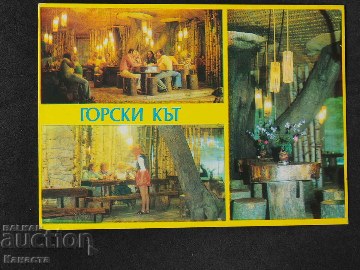 Varna Restaurant Nisipurile de Aur Colt de padure 1978 K412