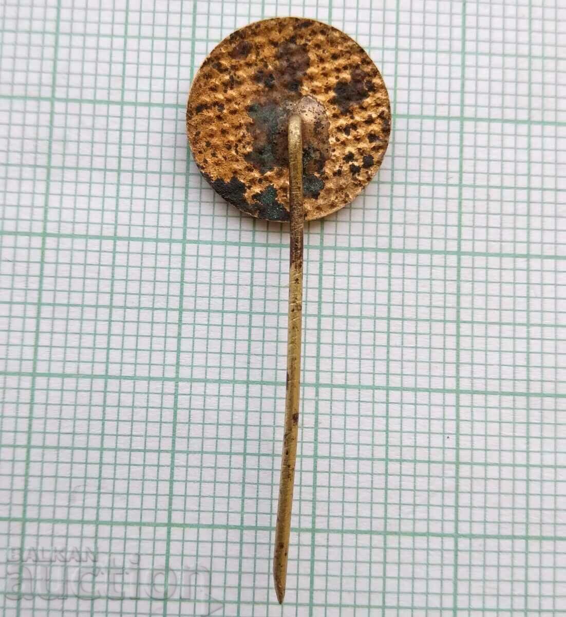 Auction 15420 50 years BC Bulgarian red cross - bronze enamel Auction 15420 50 years BC Bulgarian red cross - bronze enamel