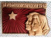 15462 Badge - For Communist Labor - bronze enamel