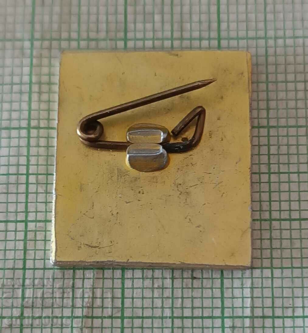 Badge - 20 years SMK L.I. Brezhnev 1963 1983 - 5 Badge - 20 years SMK L.I. Brezhnev 1963 1983 - 5