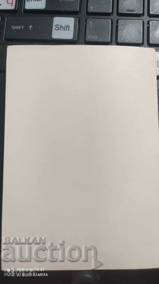 Auction Map of the sanpostovets white Auction Map of the sanpostovets white