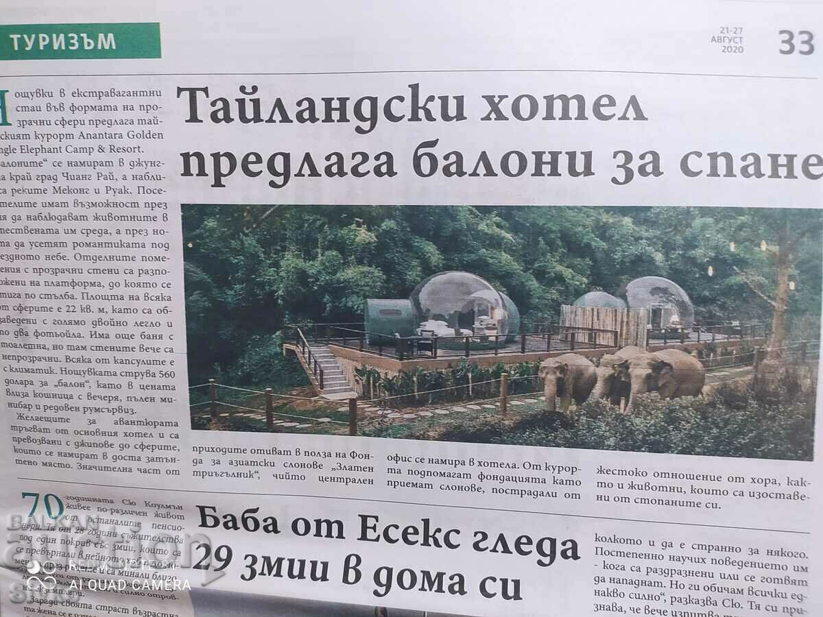 Newspaper NOW - 7 Newspaper NOW - 7