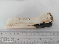 Απολιθωμένο ξύλο 2