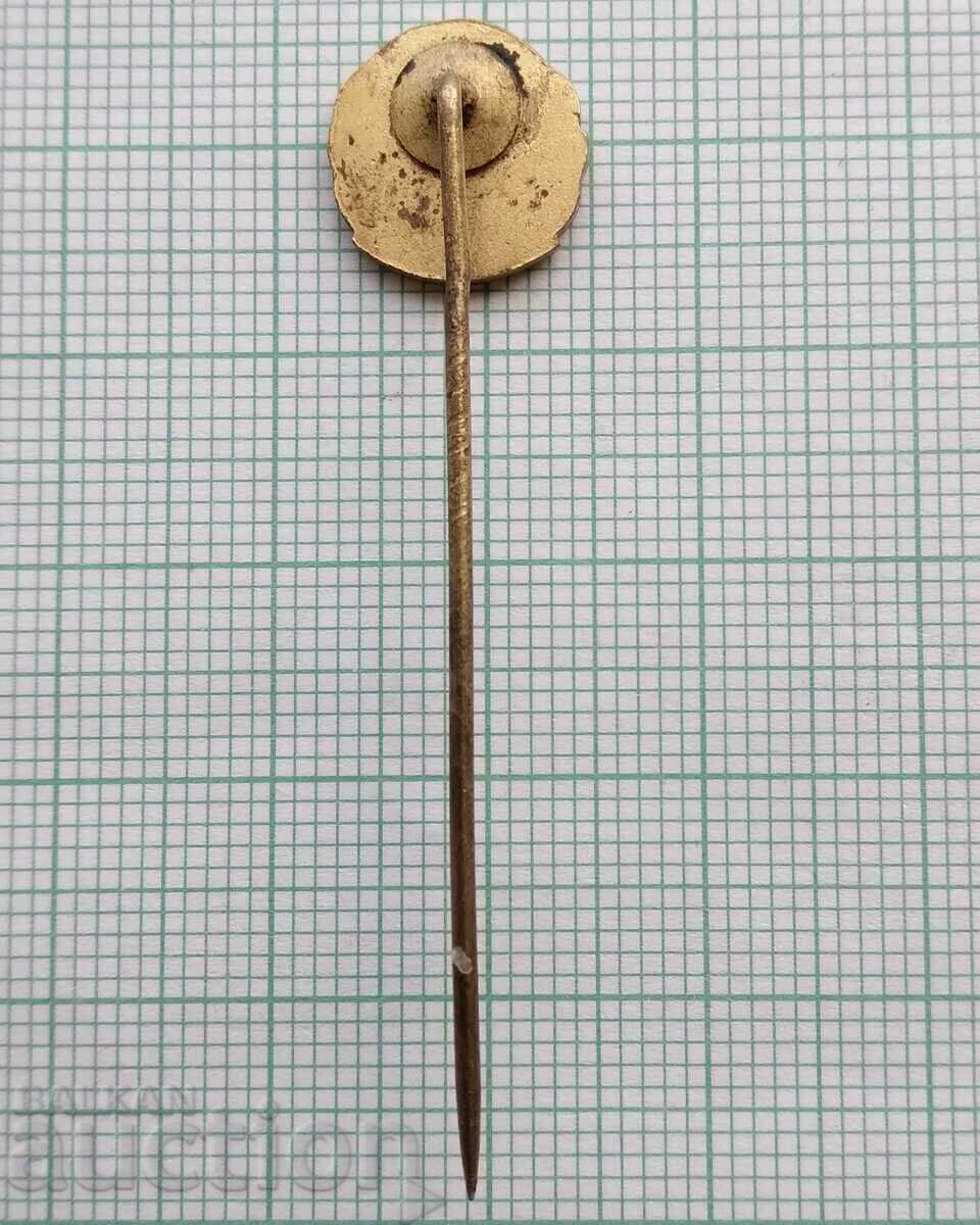 15483 Badge - ??? - bronze enamel - 5