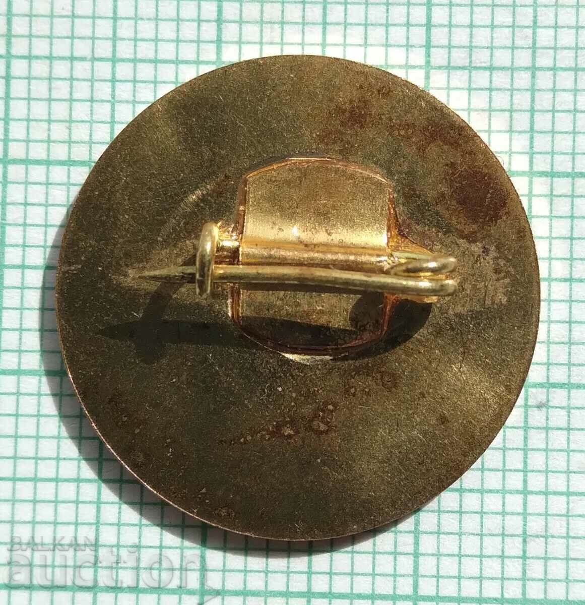 Auction  15494 Badge - 1300 years Bulgaria 681-1981.