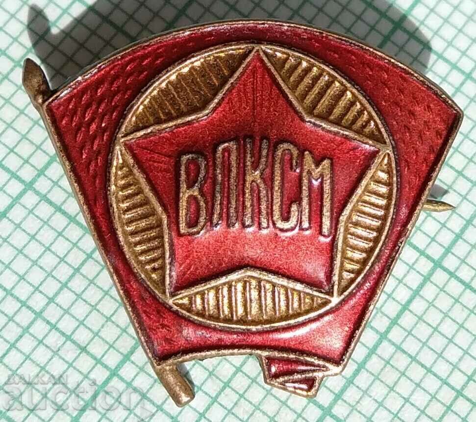 15506 Badge - VLKSM - bronze enamel
