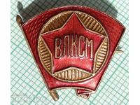 15506 Badge - VLKSM - bronze enamel