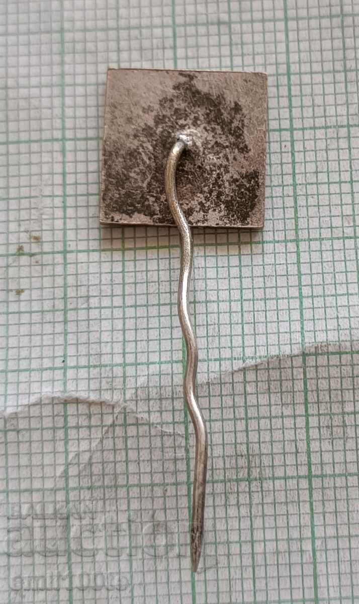 Delivery of Badge - VMEI Lenin