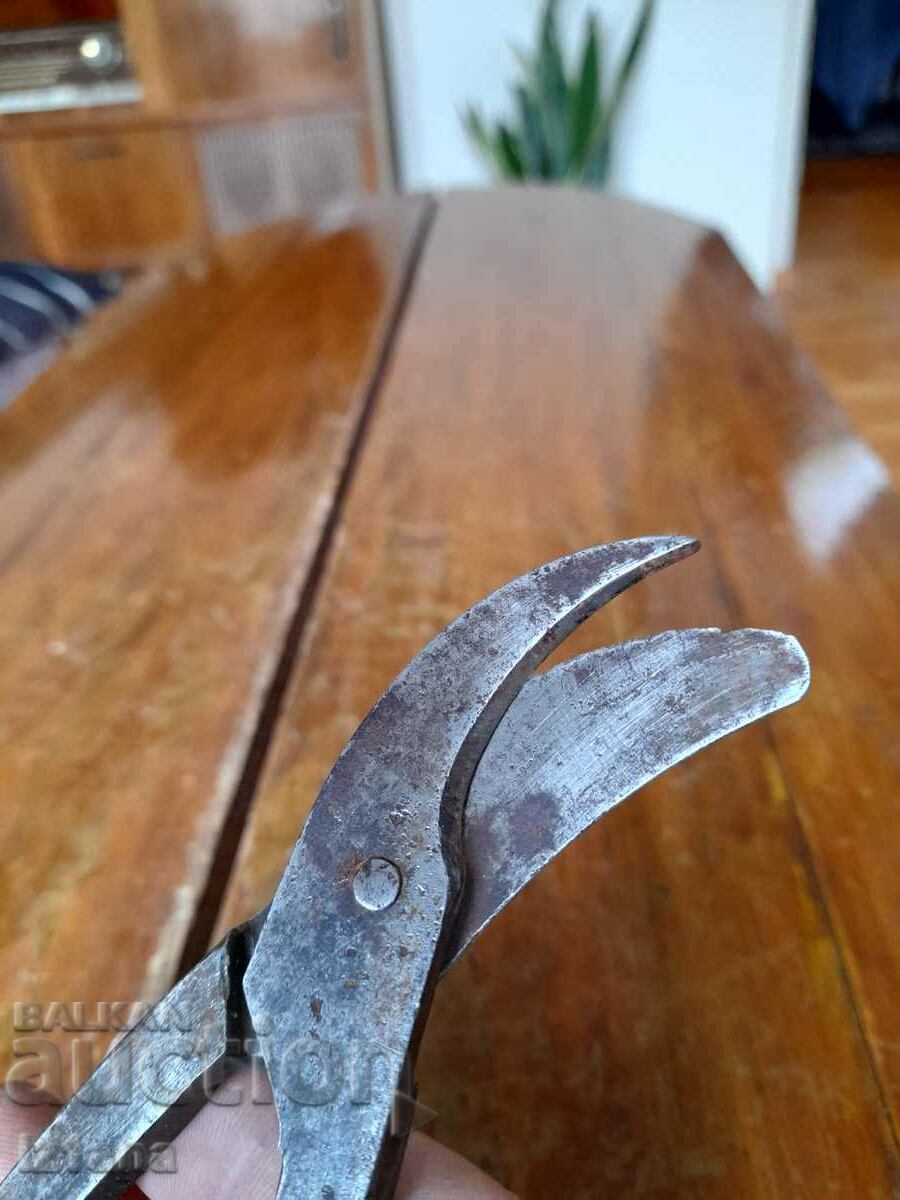 Delivery of Old scissors, scissors