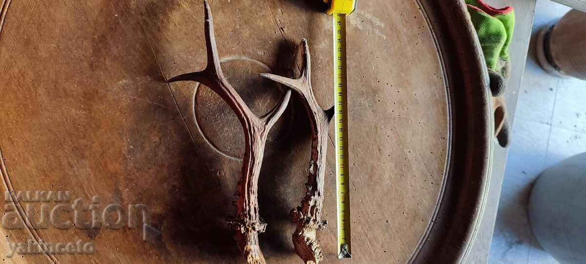 Auction Horns trophy Auction Horns trophy