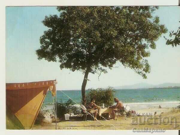 Card Bulgaria Primorsko Camping "Perla" 5 Beach*