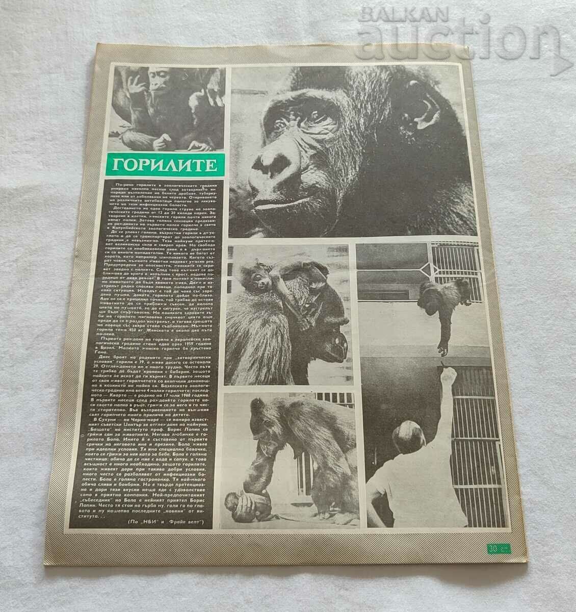 SP "BTA PARALLELS" ISSUE 14/1971 X CONGRESS BKP - 5 SP "BTA PARALLELS" ISSUE 14/1971 X CONGRESS BKP - 5