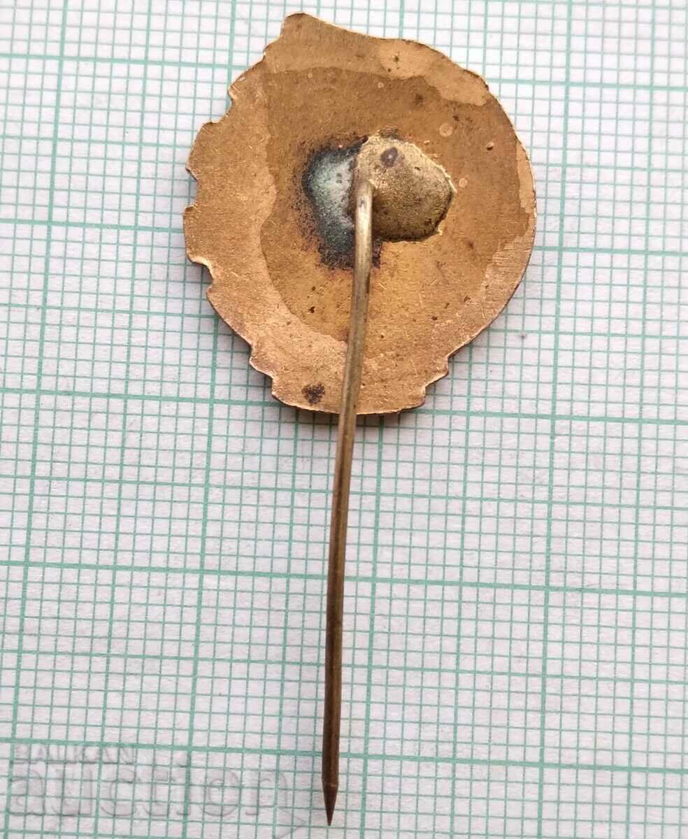 Доставка на 15526 Значка - ДОСО Готов за ПВХО - бронз емайл Доставка на 15526 Значка - ДОСО Готов за ПВХО - бронз емайл