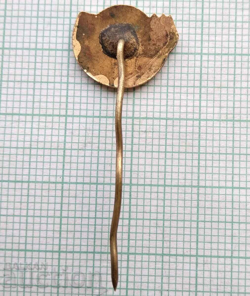 Auction 15528 Badge - I help BCHK - bronze enamel Auction 15528 Badge - I help BCHK - bronze enamel