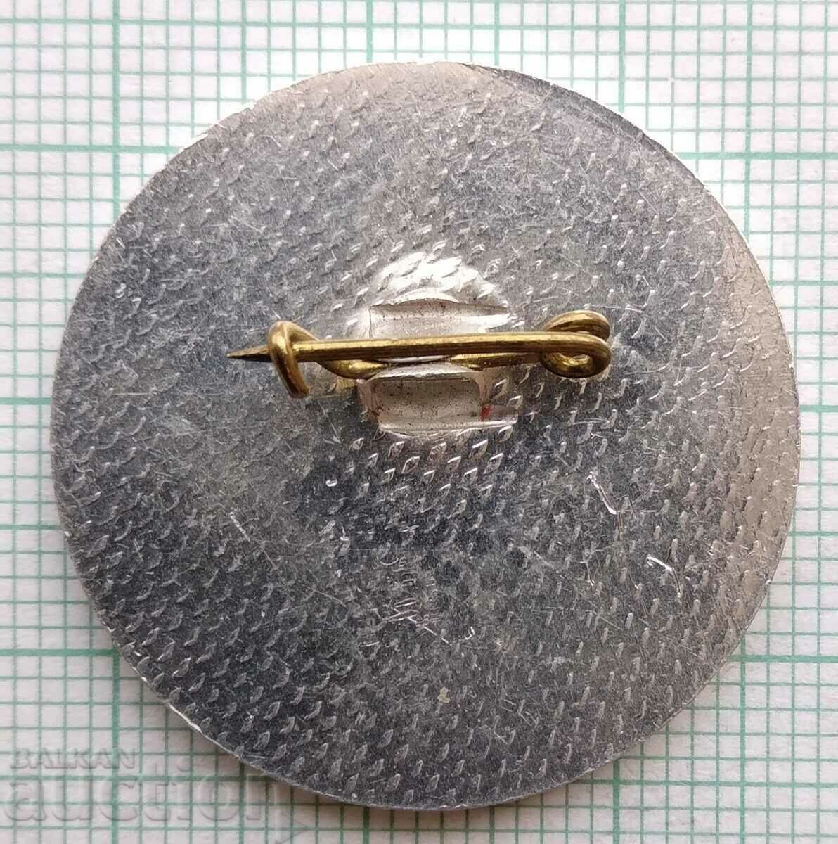 Auction  15533 Badge - 30 years GRAY Jubilee float of friendship