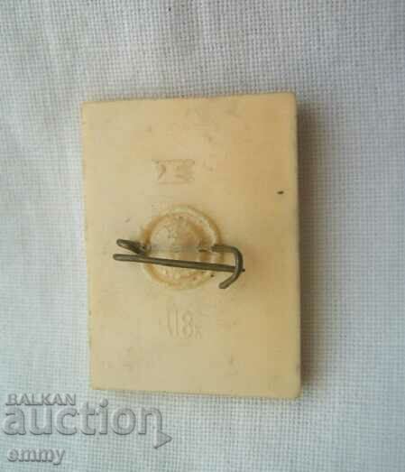 Licitație Insigna 1970 - „Sputnik 1” și Lunokhod, URSS Licitație Insigna 1970 - „Sputnik 1” și Lunokhod, URSS