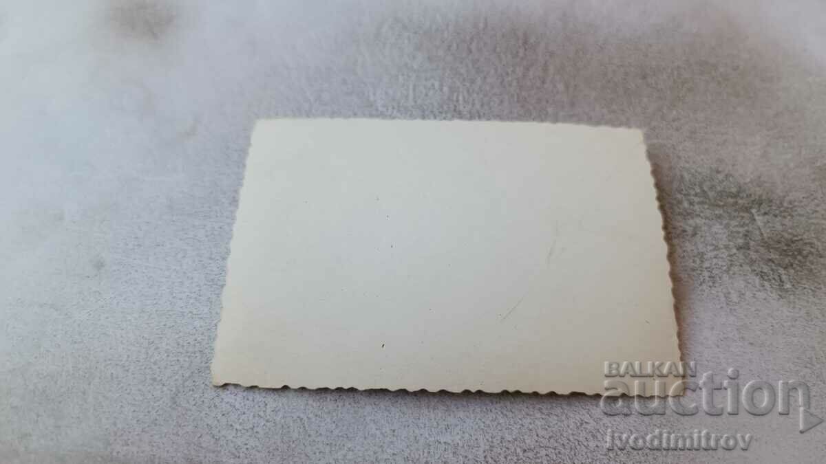 Photo Man woman and little boy on the grass with price 1.45 BGN | € 0.74 Photo Man woman and little boy on the grass with price 1.45 BGN | € 0.74