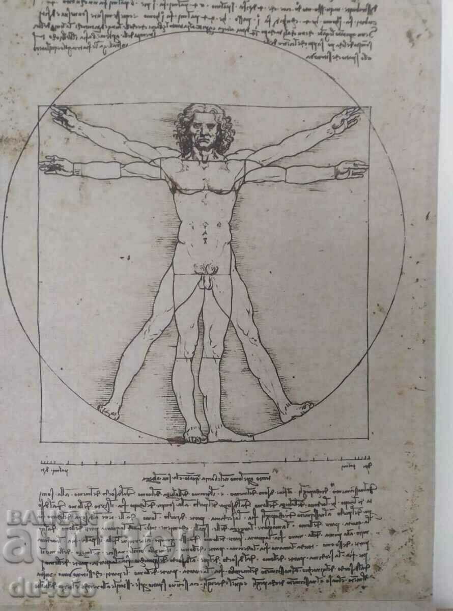 Auction Textile canvas made of polyester-cotton fabric with a print and trees Auction Textile canvas made of polyester-cotton fabric with a print and trees