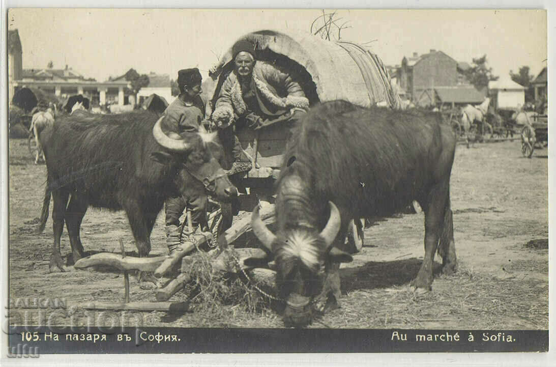 България, на пазара (пазаря) в София, непътувала