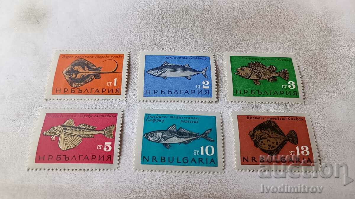 Postage stamps NRB Ribi