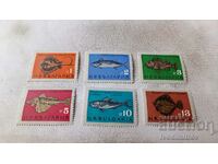 Пощенски марки НРБ Риби