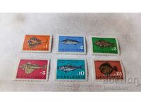 Пощенски марки НРБ Риби