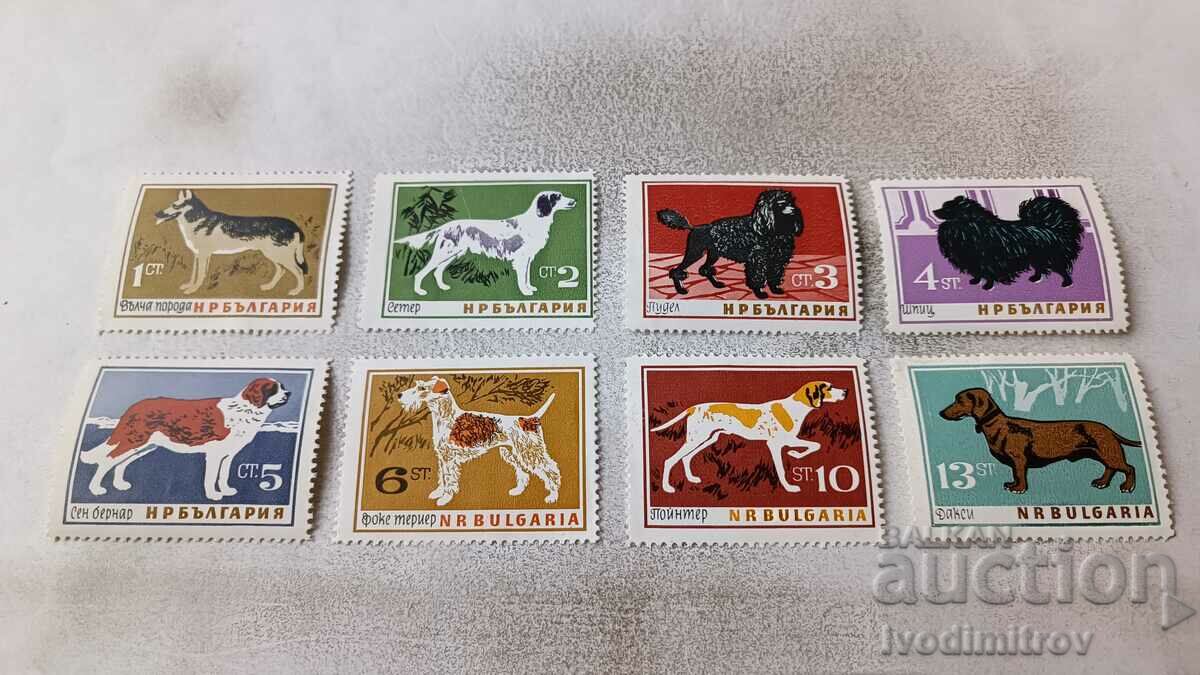 Γραμματόσημα NRB Dogs