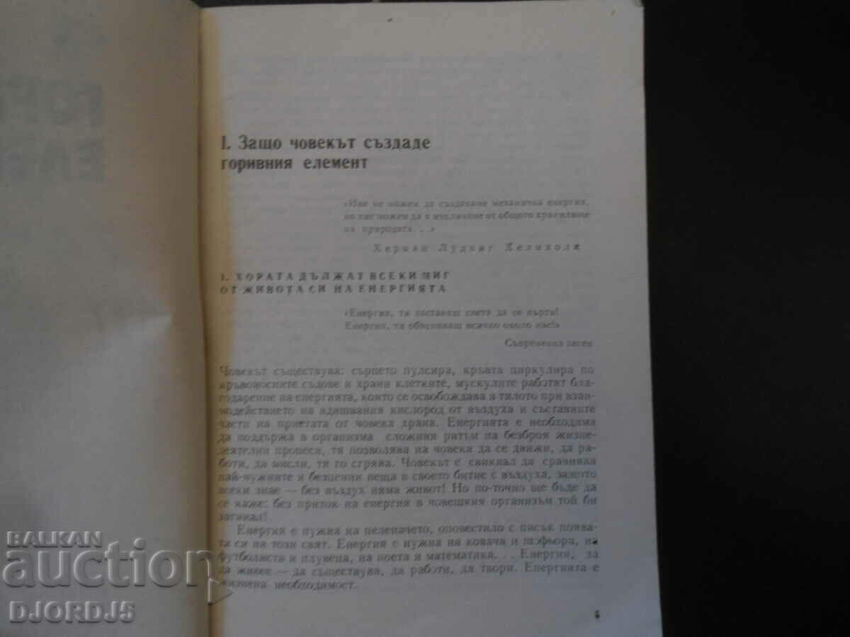 Auction Fuel elements, Eva Sokolova Auction Fuel elements, Eva Sokolova