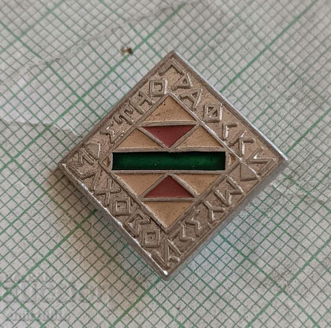 Auction  Badge - Ethnographic Museum Elhovo