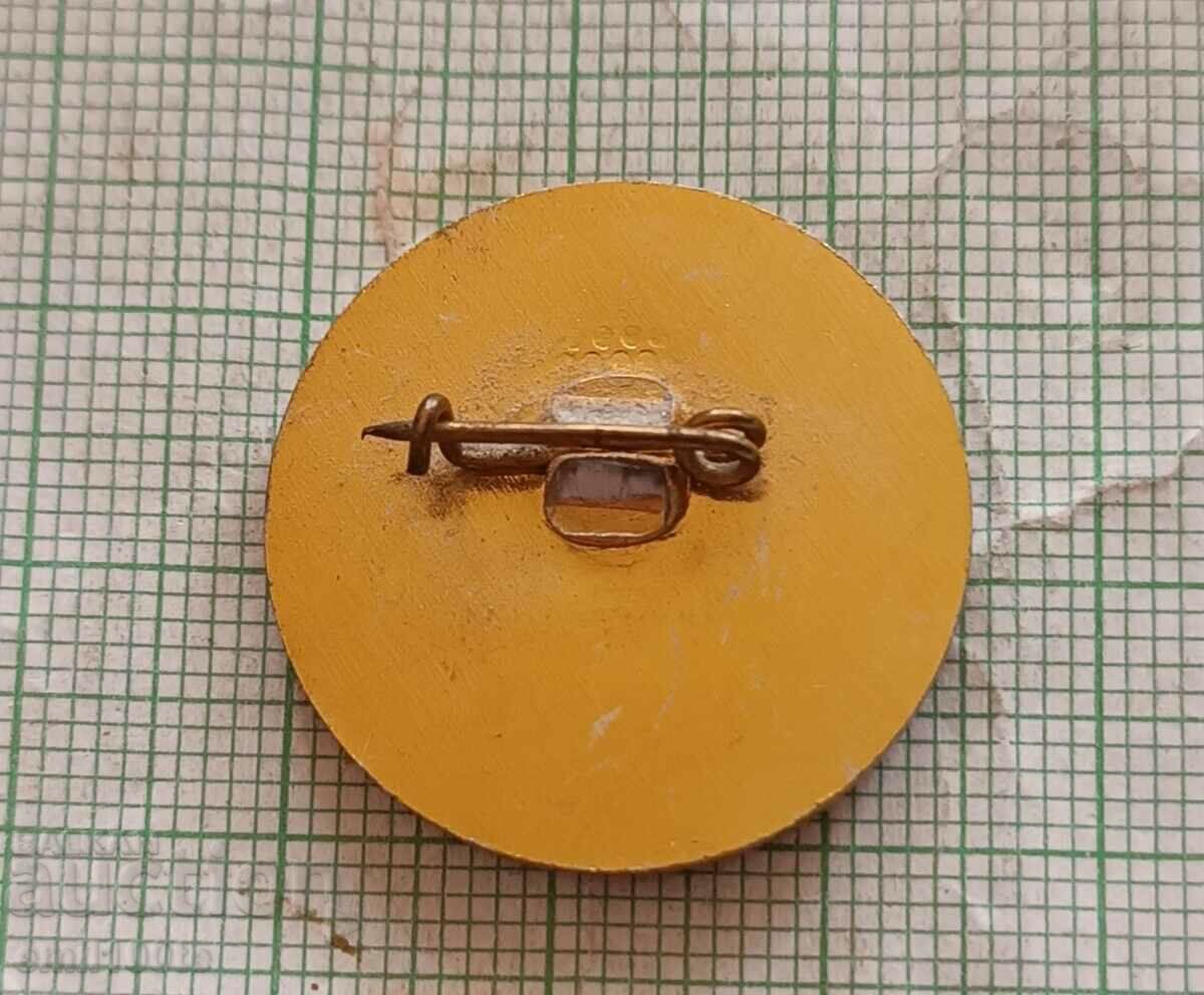 Delivery of Badge - Festival of Youth and Students