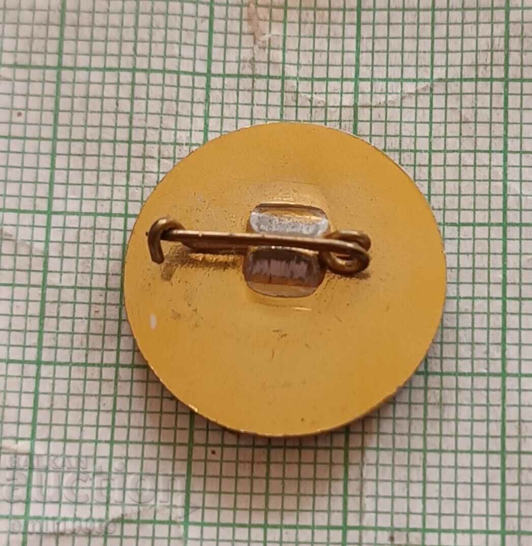 Delivery of Badge - 40 years since September 9, 1944 Delivery of Badge - 40 years since September 9, 1944