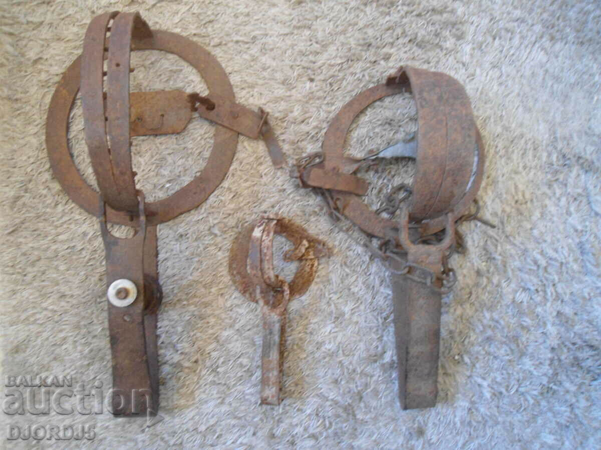 Παλιά τεράστια παγίδα, ρύγχος, που δουλεύει - 7 Παλιά τεράστια παγίδα, ρύγχος, που δουλεύει - 7